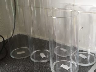 Glas cylinder vaser