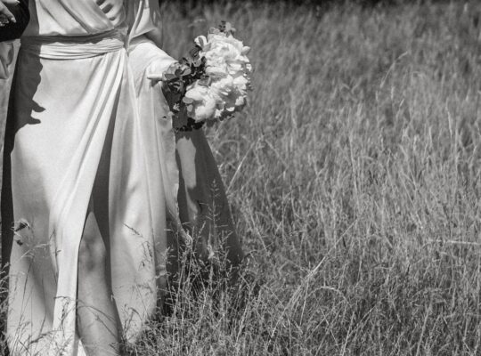 La lune gown