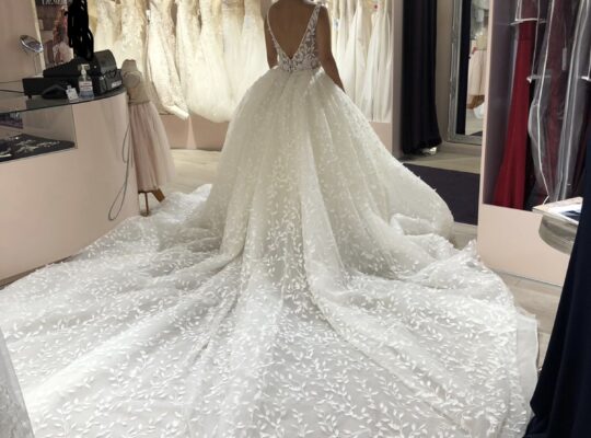 Demetrios brudkjole til salg 34/36