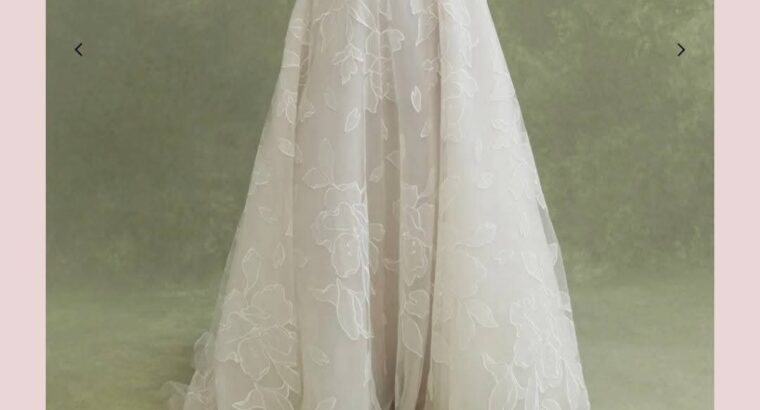 Jenny Yoo